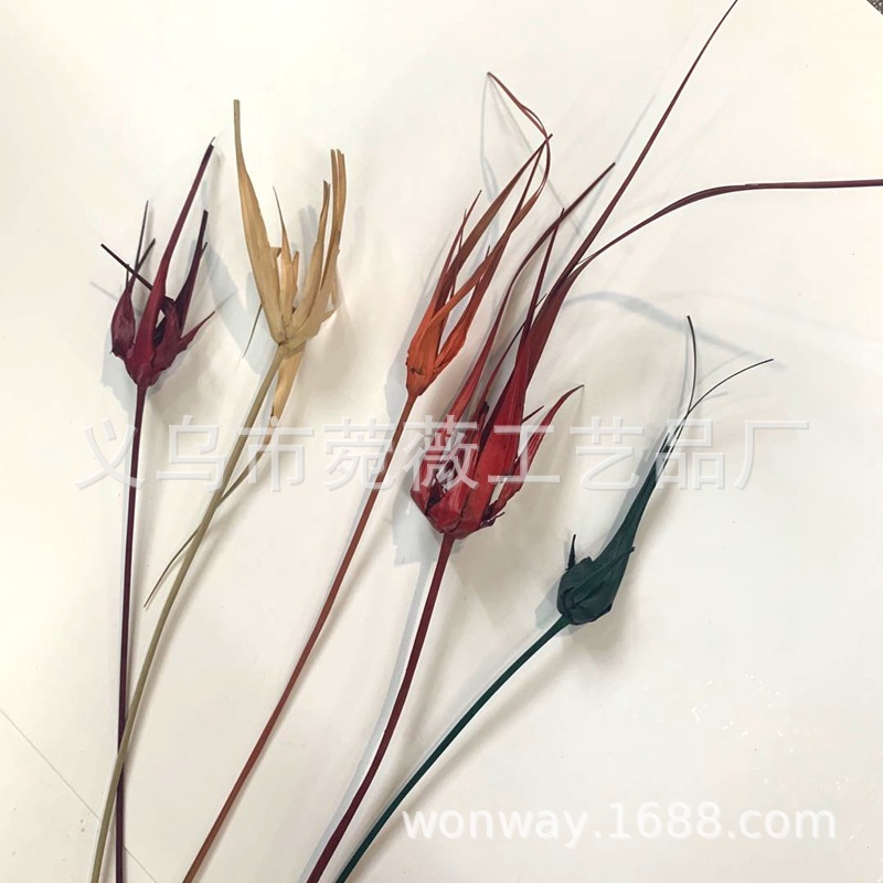 微信图片_20200427122310