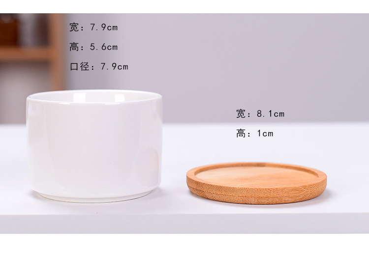 跨境多肉白瓷花盆简约创意白色室内盆栽多肉花盆亚马逊家居印logo详情6