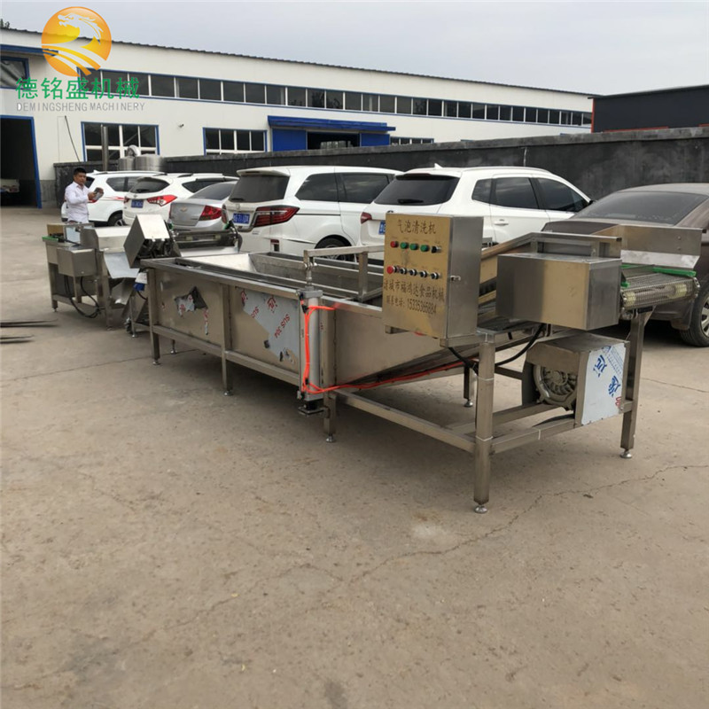 金银花等中草药气泡清洗生产线 德铭盛枸杞清洗烘干线