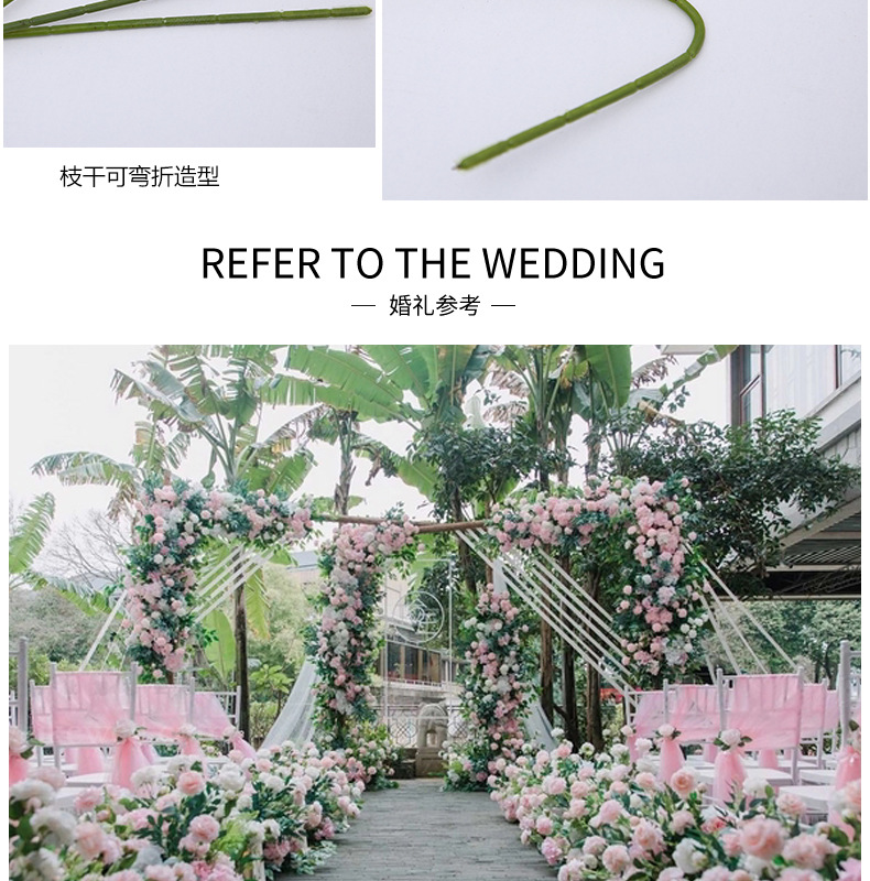 洋牡丹_11.jpg