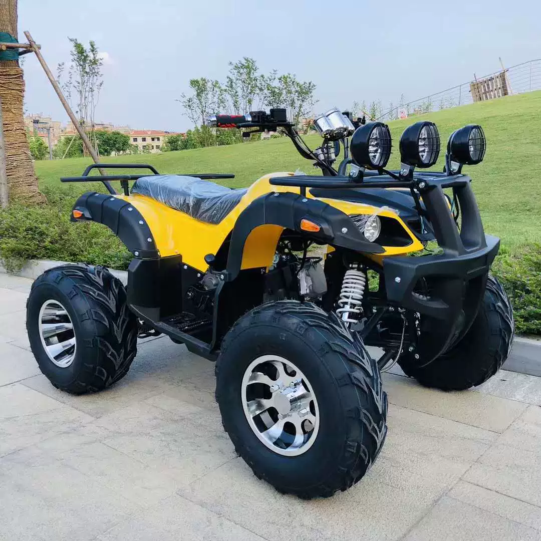 [Большегрузный вездеход для пляжа 125cc-350cc ATV квадроцикл для езды по пересечённой местности]