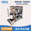 large 15T/D Desalination of sea water Processor Water Treatment Equipment Brackish water Desalination