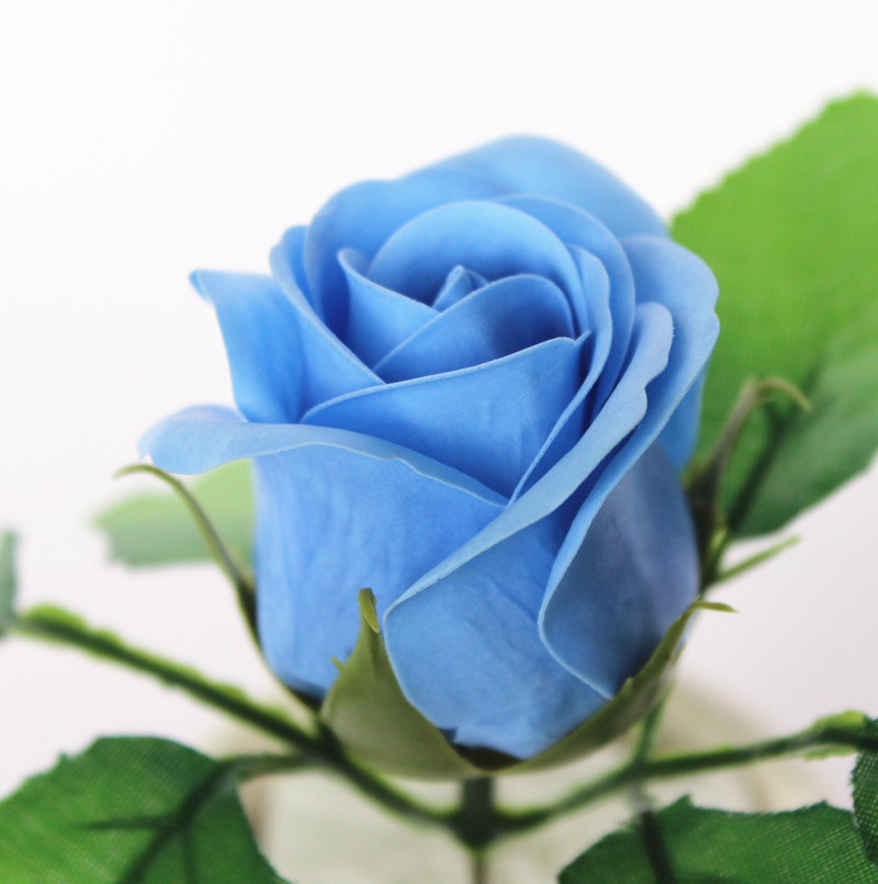 一键复制_20200227134218