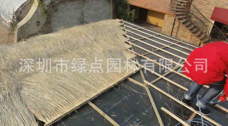 黄茅草屋顶 (25)