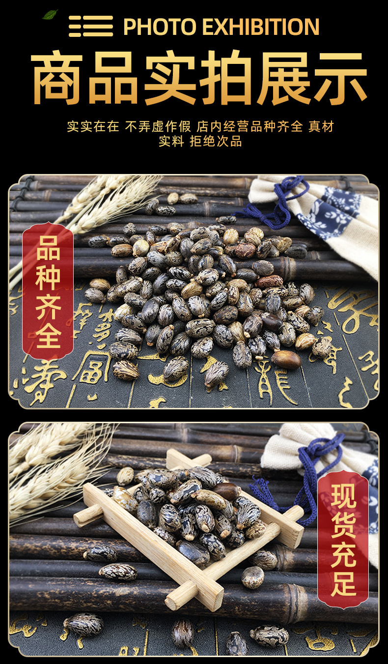 Castor Seeds Bi Ma Zi Dried Ricinus Communis Bulk Herbal Seeds 500g in use