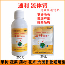 �����}.�����}.�����}.�߲��}.�}��200��