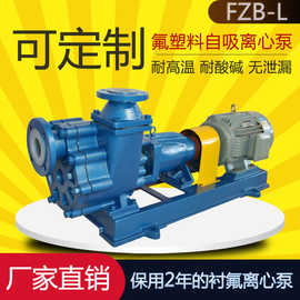50FZB-45L氟塑料自吸离心泵 衬氟泵 耐酸碱自吸泵厂家 安徽腾龙