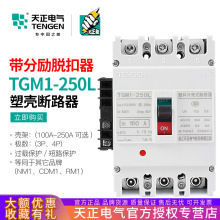 TGM1-250L/3310ܚ·՚_P_քÓh̏