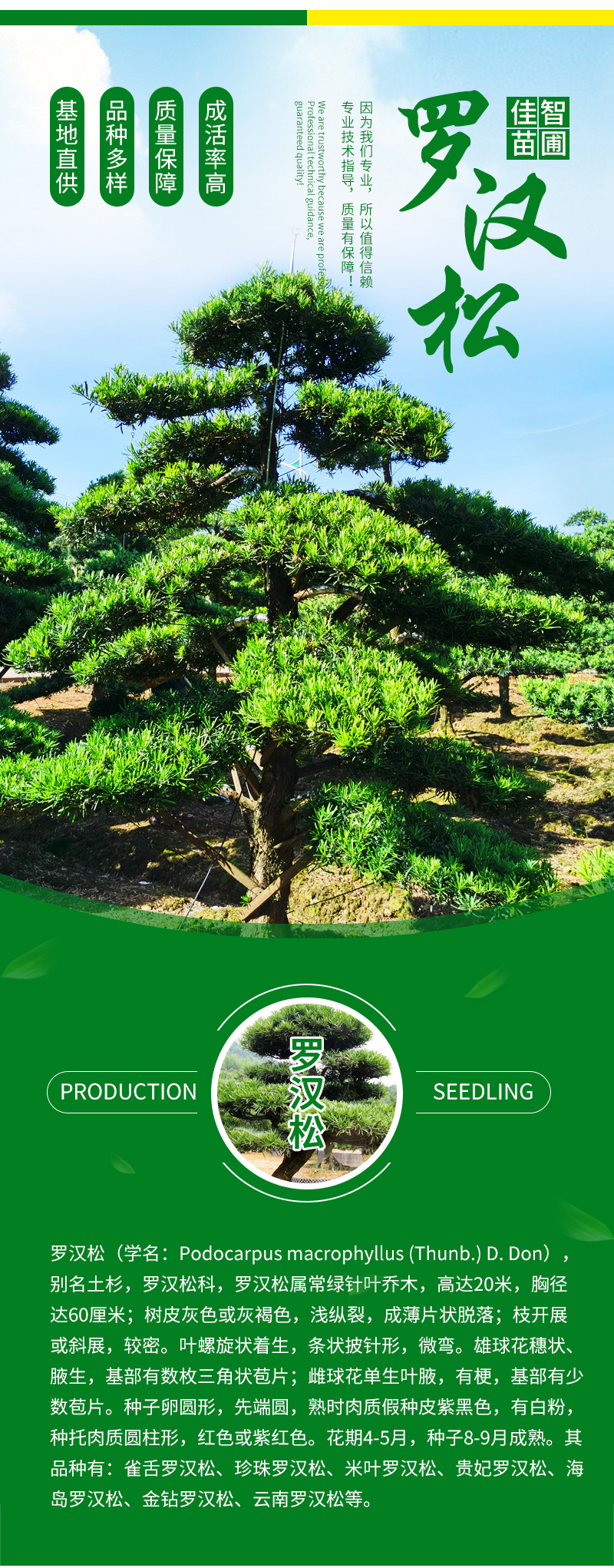 �޺���-����_03