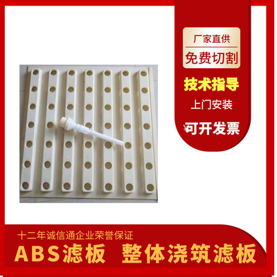 厂家供应abs整体浇筑滤板 整体浇筑滤板abs模板规格定制安装咨询|ru