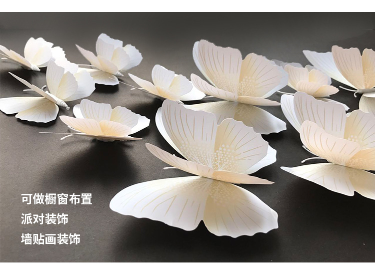 立体蝴蝶.jpg