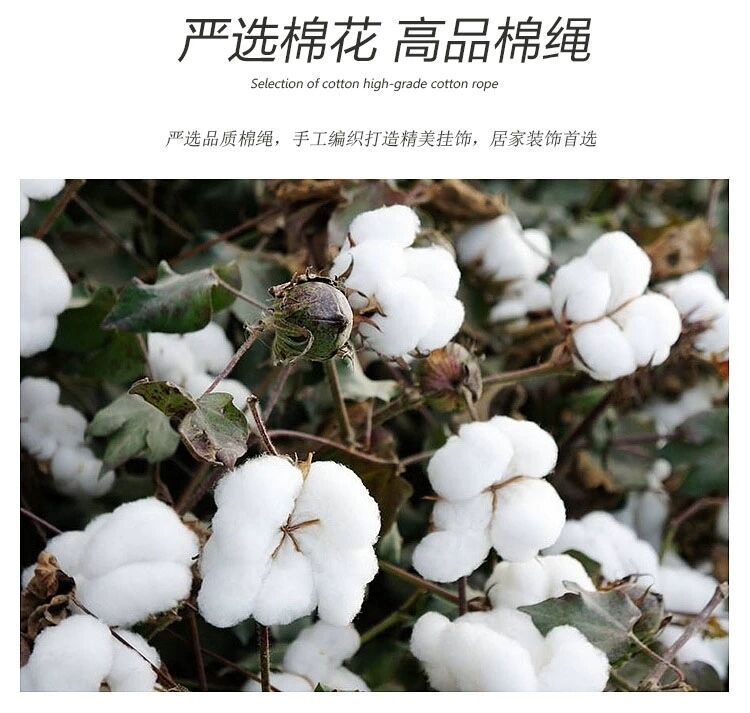 QQ图片20201202094909