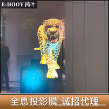 ȫϢͶӰĤ̓M3dwͶӰۿ՚͸ͶNĤ