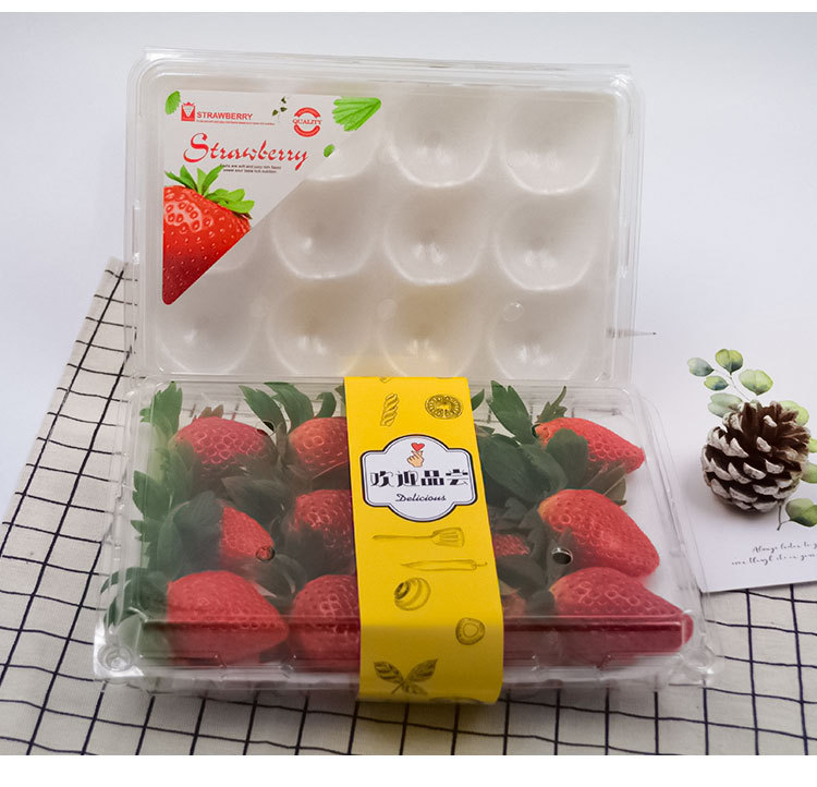 Strawberry box disposable transparent fruit plastic box with white tray fresh fruit fishing vegetable strawberry packaging platter box