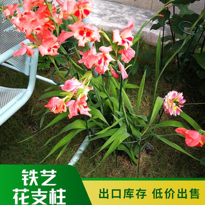 Cross border Spray Metal Botany brace Potted plant Bracket Horticultural plant fixed brace Flower rod Climbing Bracket