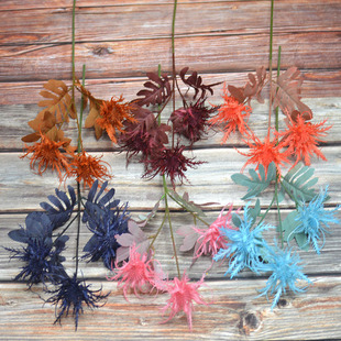 ¿3^Fڡ Y쾰F Pβ b廨ˇ