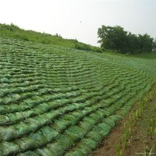 生态袋绿色网眼袋护坡环保防寒耐磨土工园林护坡网眼袋复绿