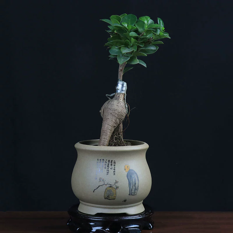 Мясистый цветочный горшок старый ворс Fortune Tree специальное оформление Творческий Крытый грубая керамика дышащая керамика бонсай маленький баньян дерево зеленая посадка