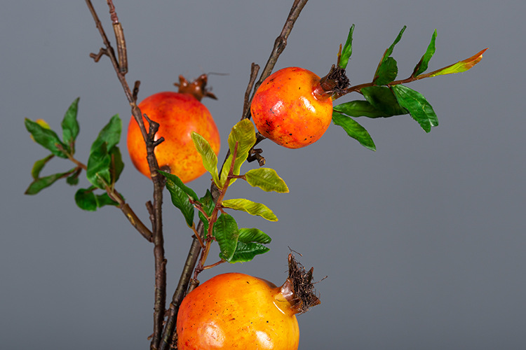 经典5头石榴 桔色_06.jpg