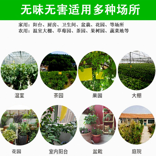 Yellow sticky traps, double-sided insect boards, blue paper insect boards, yellow pest traps, fruit fly traps, sticky boards for orchards, thrips traps, greenhouse pest control.