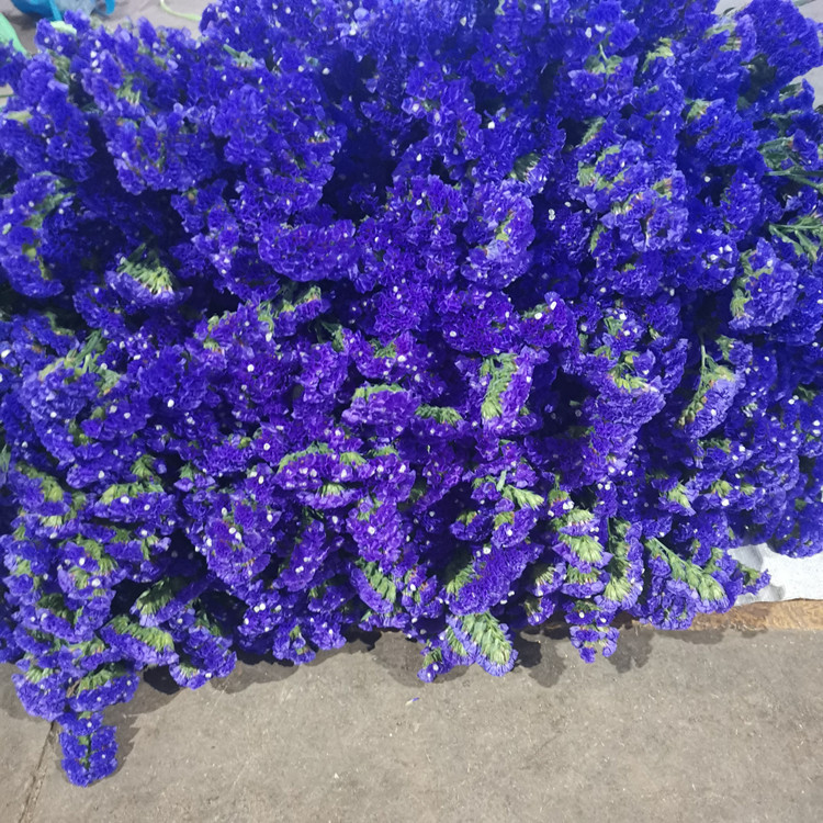 微信图片_20200622103114_副本