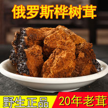 桦树茸俄罗斯桦褐孔菌白桦树茸茶铁桦树核桃块可磨粉