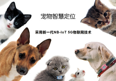 NB-IOT Pets GPS positioner Tracker Tracker vehicle personnel positioner New Products Export