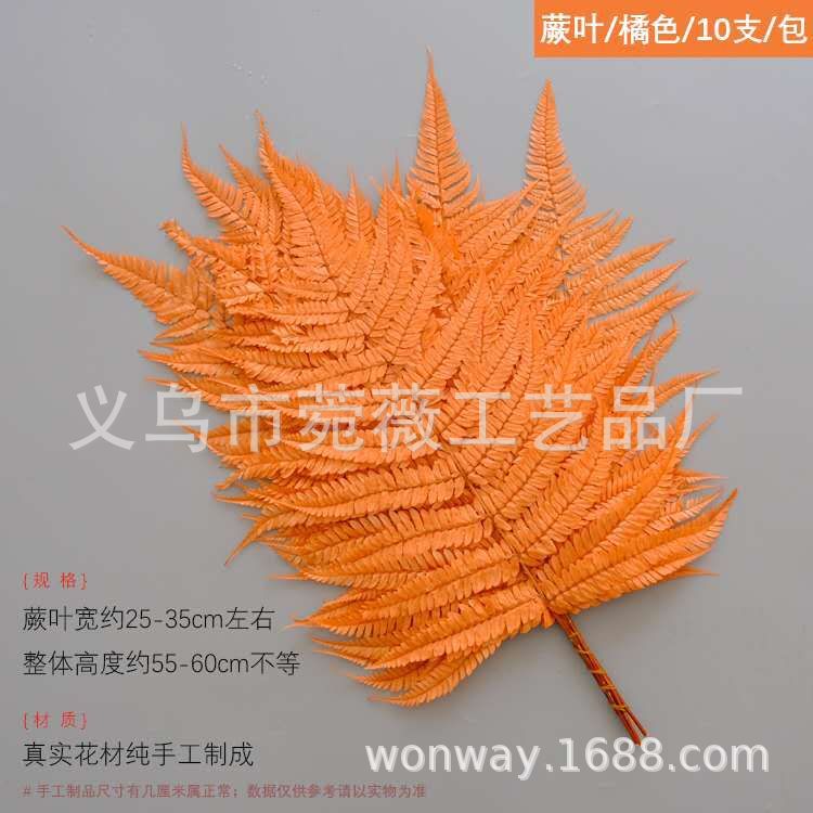 微信图片_20200601160046