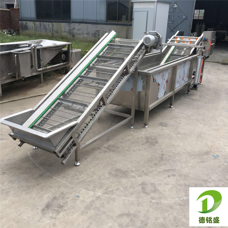 涡流式青椒清洗机 可配套风干线 德铭盛生产生菜清洗机