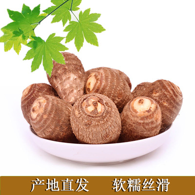 山东芋头5斤包邮毛芋头香糯丝滑奶芋头新鲜小芋头