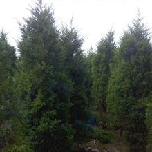 ľ ̾G @ u uu Gľu ļu