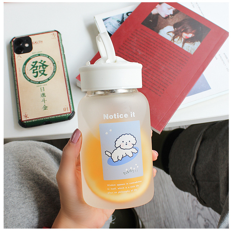 Simple Frosted Glass Cup Water Cup Portable Tea Compartment Mobile Phone Holder Cute Creative Cup display picture 7