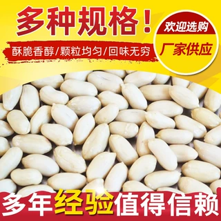 销售脱皮花生米 去皮花生米 原味多规格非熟脱皮花生米