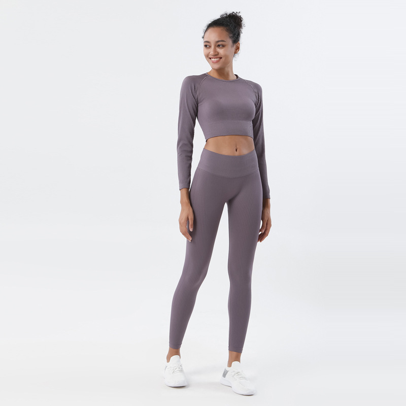 Nuevo europeo y americano Amazon pantalones de yoga de punto sin costuras traje de fitness nylon de secado rápido traje de yoga traje de manga larga mujeres