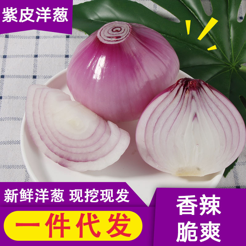 洋葱新鲜蔬菜紫皮洋葱圆葱红皮葱包邮一件代发