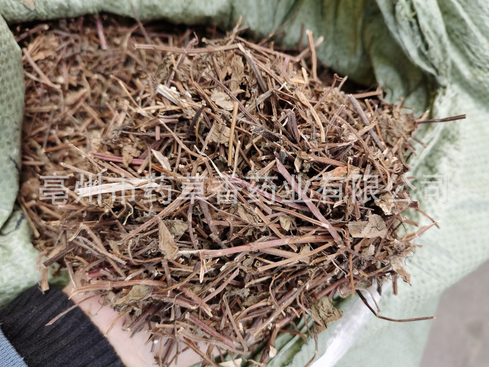 批发凉粉草 仙人草 仙人冻 仙草干 草本凉茶原料 产地直销凉粉草-阿里巴巴
