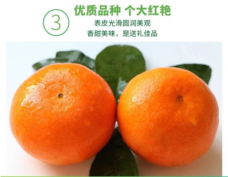 8 - 副本.jpg