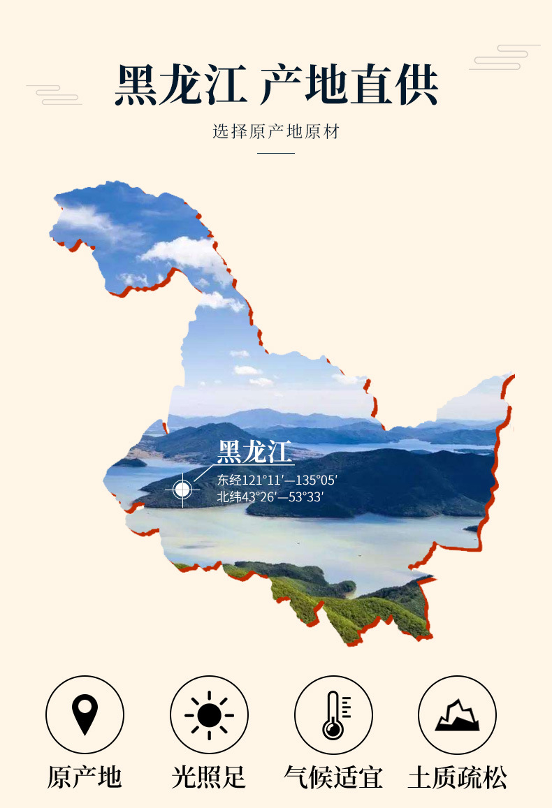Dan Shen Slices (Salvia miltiorrhiza) — Dried Red Sage Root, Unsulfured, 500g overview