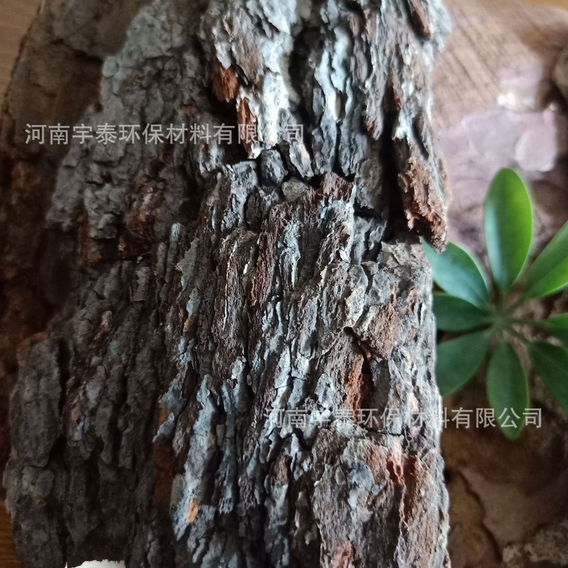 定制松树皮发酵打磨抛光松树皮松鳞兰花铁皮石斛栽培基质马尾松-阿里巴巴
