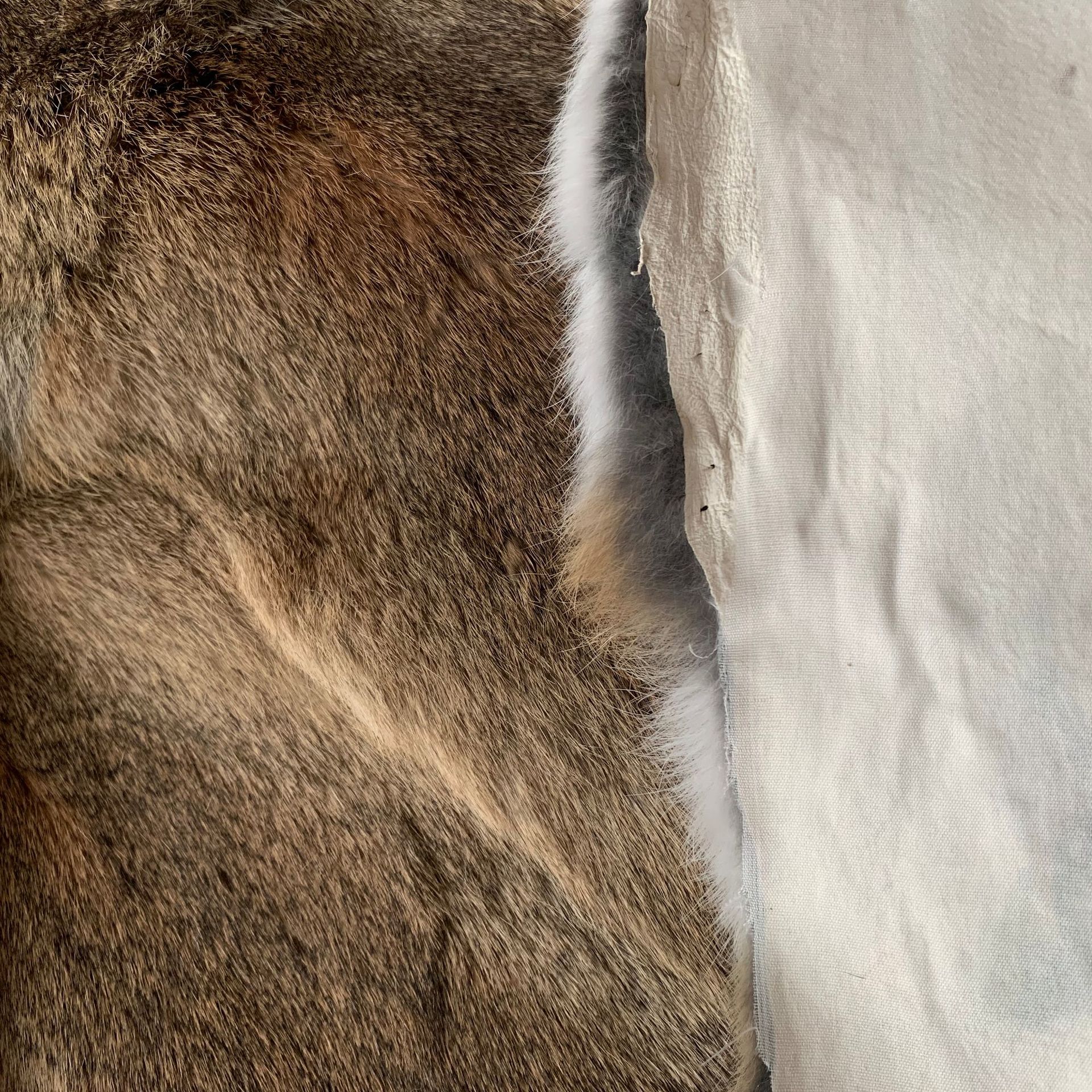 lADPGpqNarVYR2_NC9DNC9A_3024_3