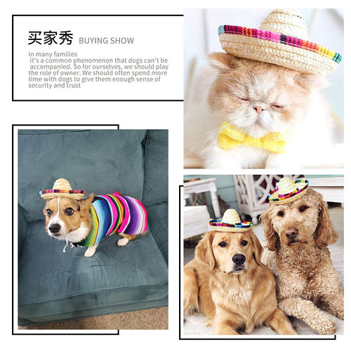 Amazon Foreign Trade Pet Braided Straw Hat Western Mexican Style Hat Spring and Summer Sun Shade Adjustable Hat