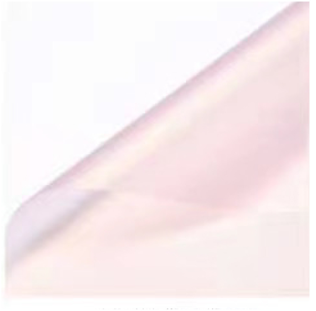 딸기 아이스*58*58cm