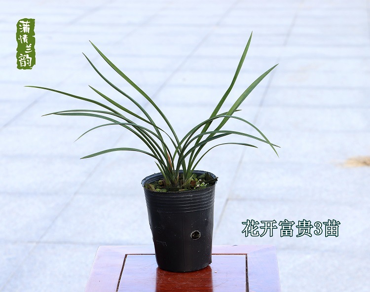 ��������6454_����