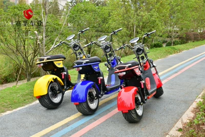 scooter motorcycle cross-border, Elektrikli motosikletlər