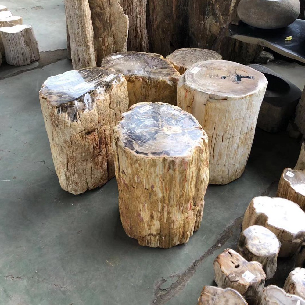 木化石怎么加工,硅化木用什么油上光好,木化石特征_大山谷图库