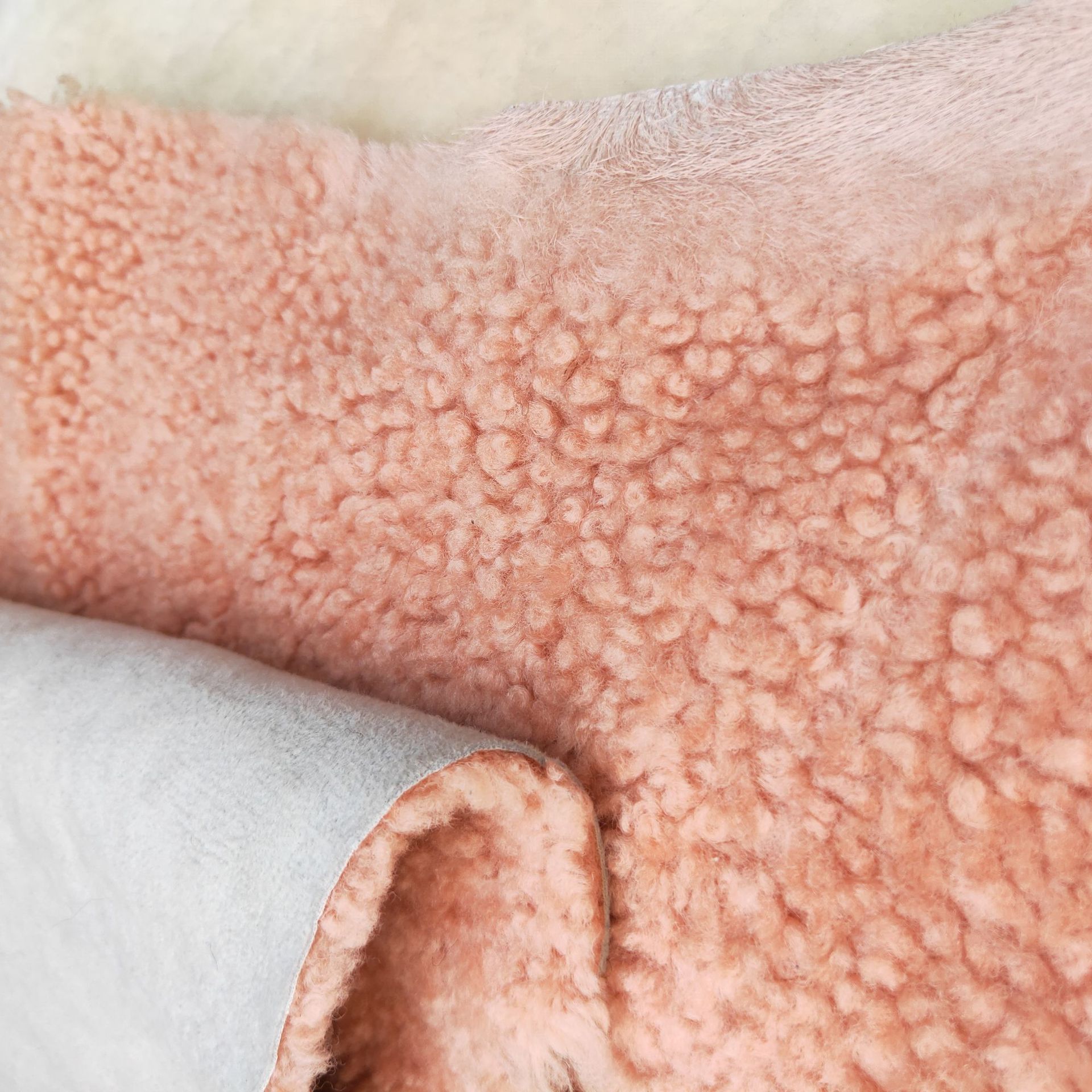 b8ba6d82f0e1123225ef93031ca3d4