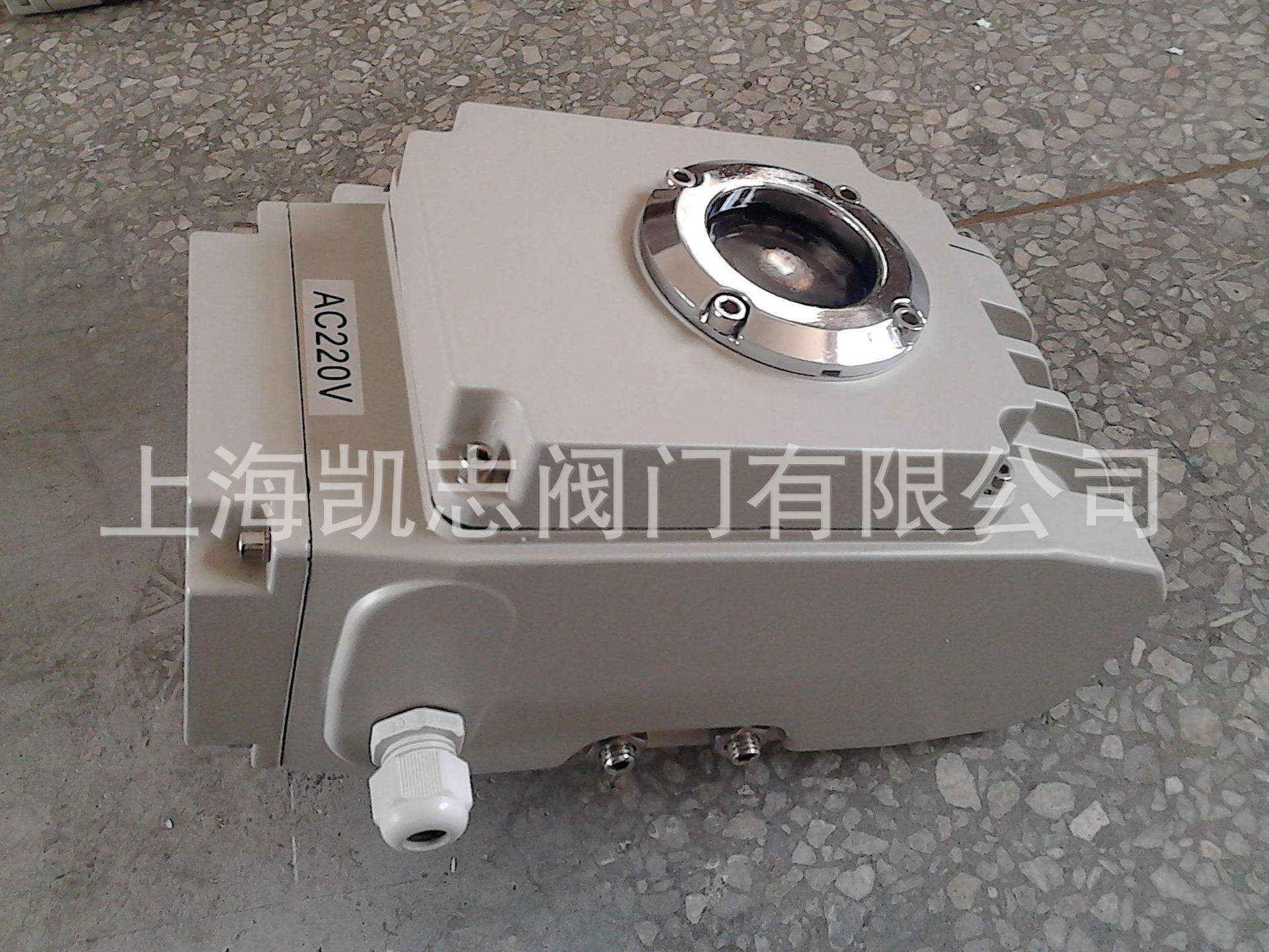 上海 DR-50精小型电动执行器DR-20，BS-10电动蝶阀执行器DR-40