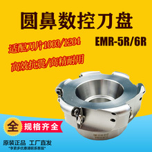 R5R6AǵP صP ㊵P EMR5R 6R 50 63 80 100 125 200