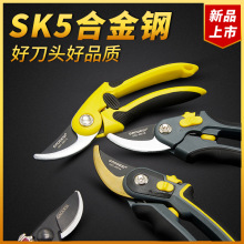 �ߵ�˹԰��԰�չ��������������������Ӵ�֦��֦��֦��ʡ��ǿ��