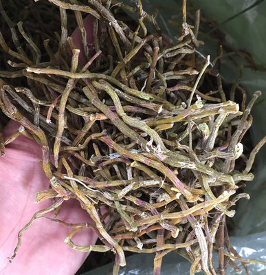铁皮石斛打粉条干条断条胶多统货